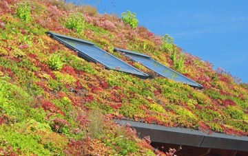 Kingscott living roof systems