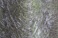 Kingscott fibreglass roof work